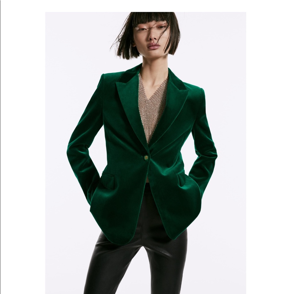 Zara velvet blazer limited edition